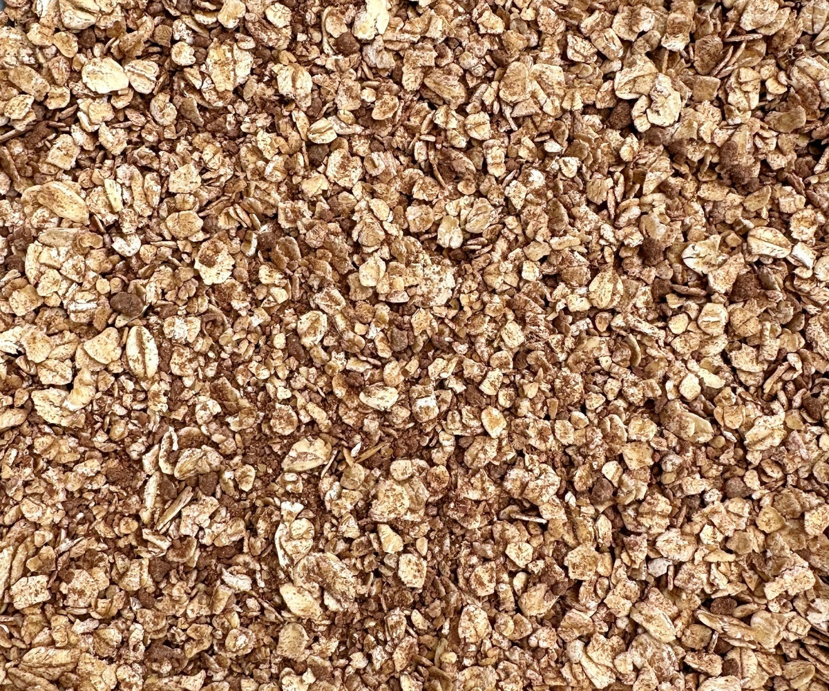 Close-up of organic cocoa-cinnamon porridge