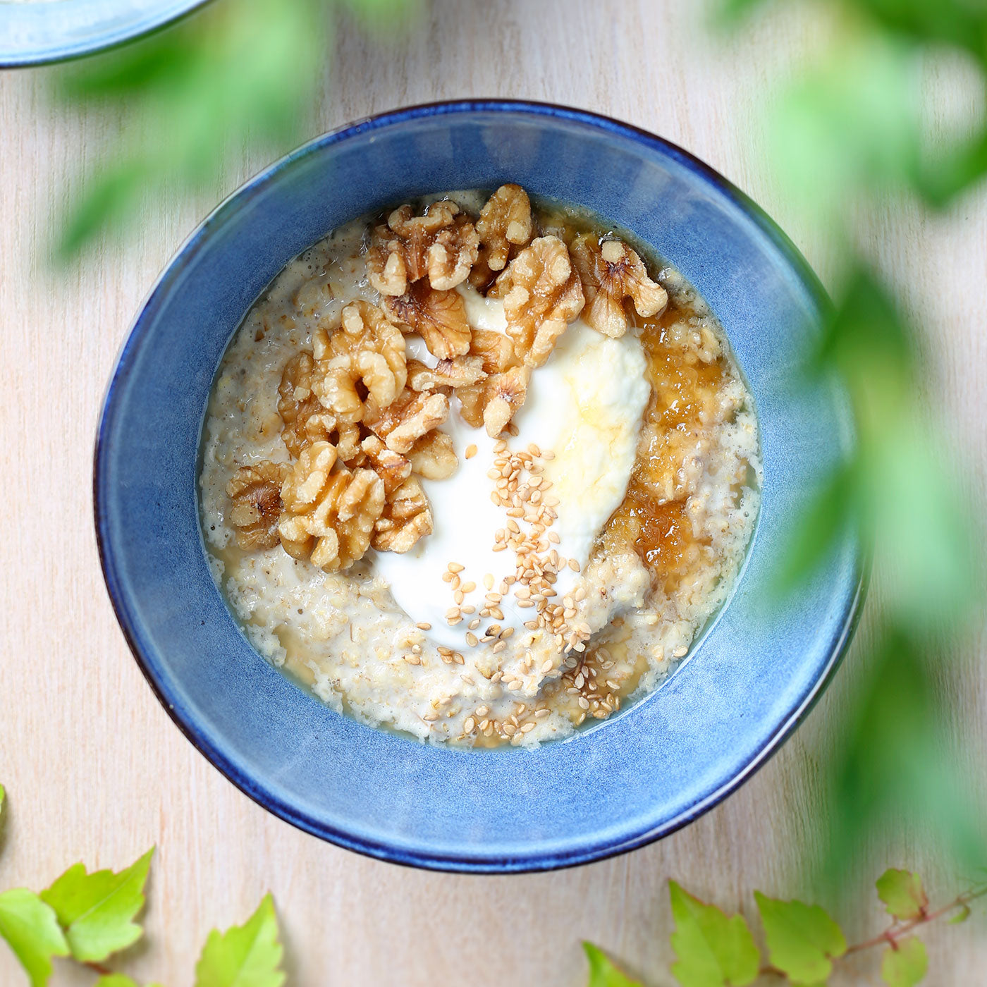 Honig Walnuss Joghurt Porridge Grieschische Art gesund